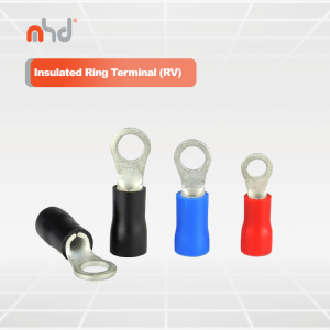 Insulated Ring Terminal (RV)