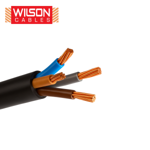 Single & Multi Core Wilson