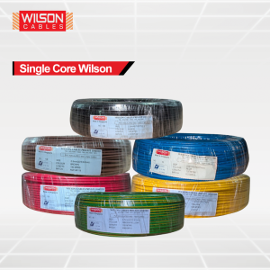 Single Core Wilson