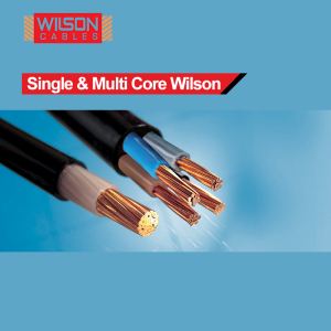 Single & Multi Core Wilson